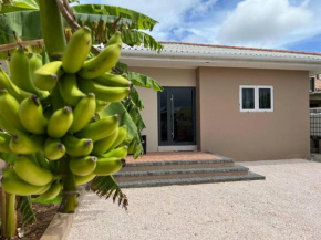 Tortuga Vacation Home Curacao